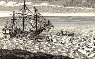 1 – Le Pélican – Jacques Rebotier